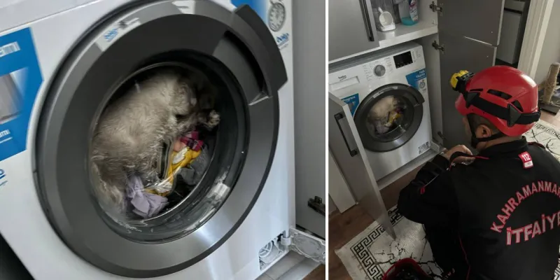 Çamaşır Makinesinde Kedi! Sahibinin Gözünden Kaçtı, İtfaiye Kurtardı