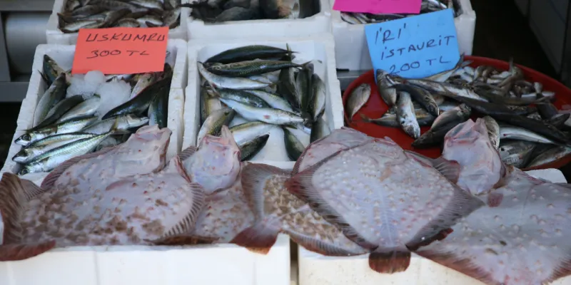Kalkan Fiyatları Çakıldı! Kilogramı Kaç TL Oldu? Şok İndirim!