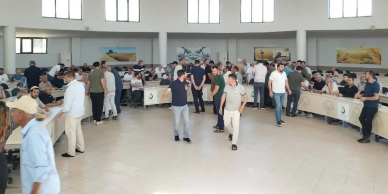 Buğday Fiyatları Uçtu! İlk Hasat Rekor Fiyatla Alıcı Buldu