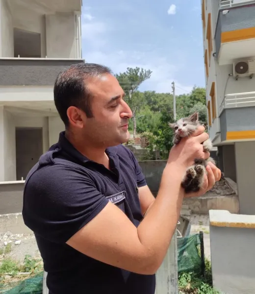 Minik Kedi Motoru Mesken Tuttu! İtfaiye Seferber Oldu