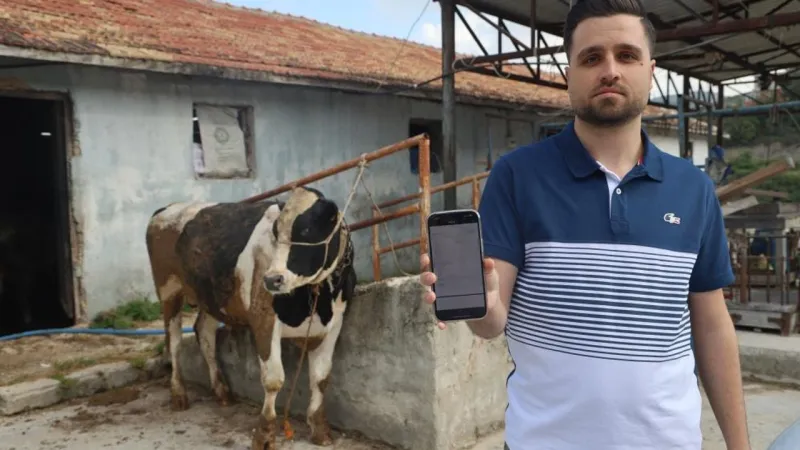 Kurbanlık Tosun Tuzağı! 200 Bin TL'sini Böyle Kaptırdı!