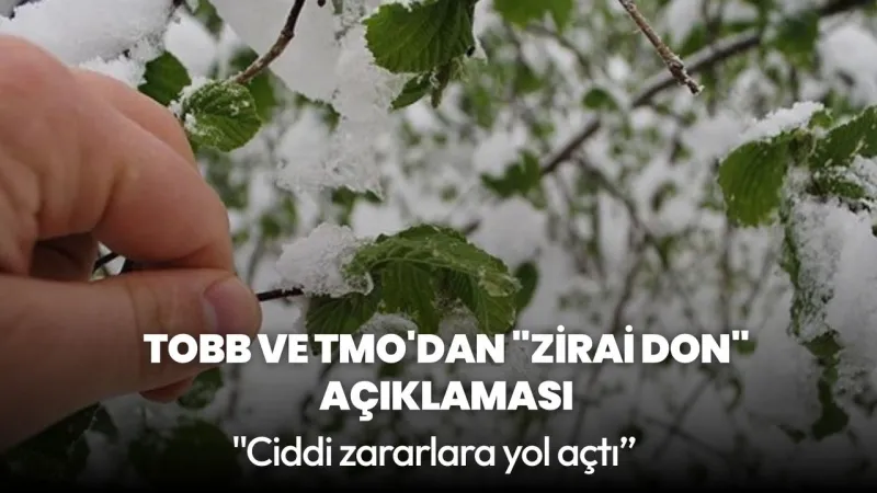 Zirai Don Felaketi: Üretici Alarmda! TOBB ve TMO'dan Kritik Açıklama