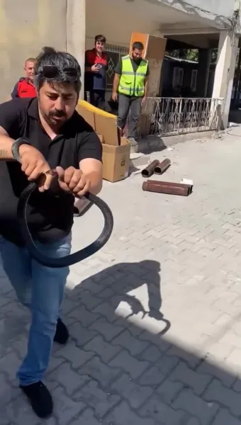 Payas’ta Yılanla Mücadelede İlginç Anlar