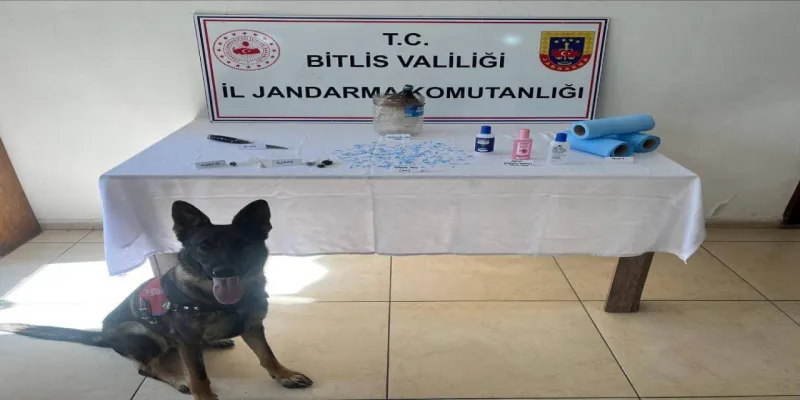Peçeteye Uyuşturucu Şoku! Bitlis'te Jandarmadan Büyük Baskın