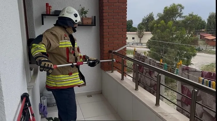 Sabah Balkona Çıktılar, Gördüklerine İnanamadılar