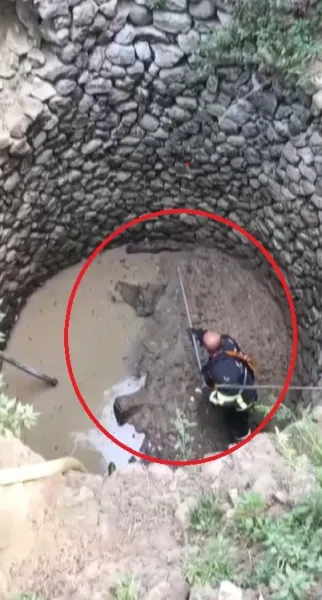 Samandağ’da Duyarlılık Örneği: Vatandaş Bildirdi, Ekipler Kurtardı
