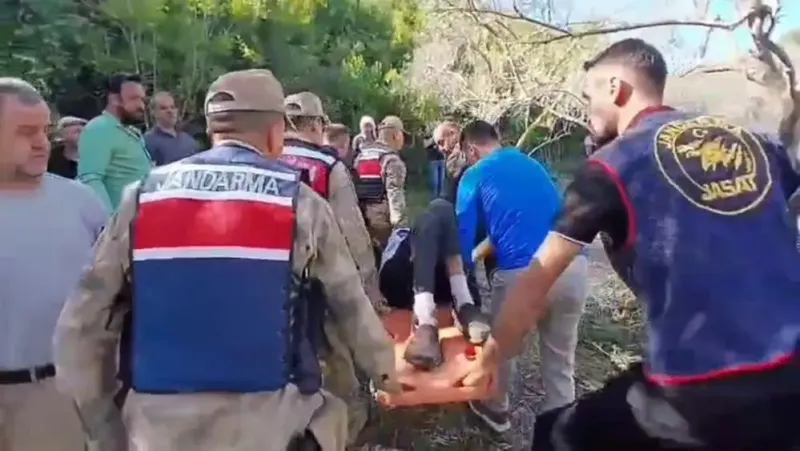 Samandağ'da Kayıp Yaşlı Adam Bulundu! Zeytinlikte Mucize Kurtuluş