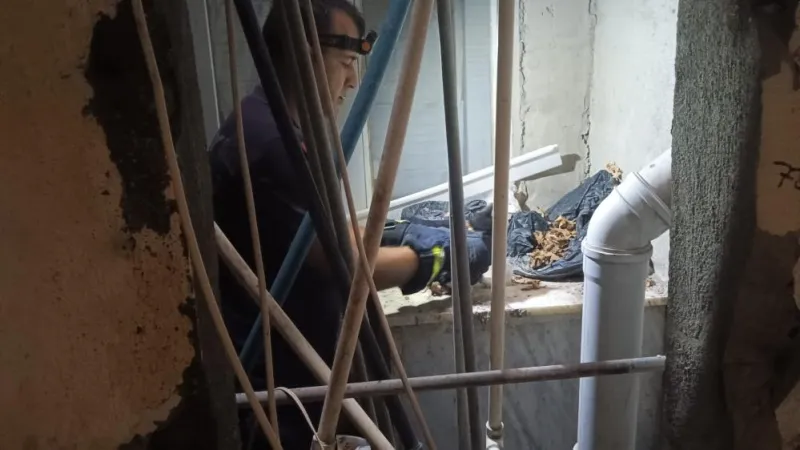 Samandağ'da Mucize Kurtuluş! Yavru Kedi Hayata Döndü