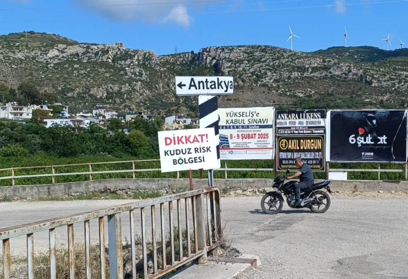 Samandağ’da Sahipsiz Köpeklere Barınak Yolculuğu