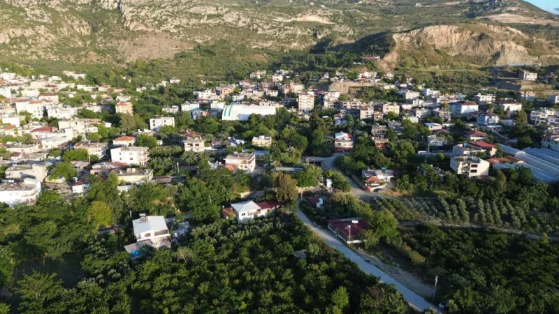 Samandağ'da Kuduz Alarmı! Hangi Mahalleler Karantinada?