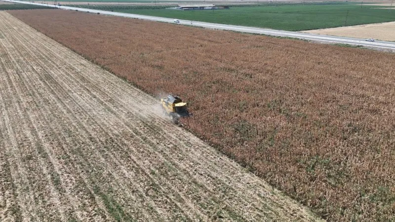 Son 65 yılın en kurak yazı Hatay’da etkisini gösterdi