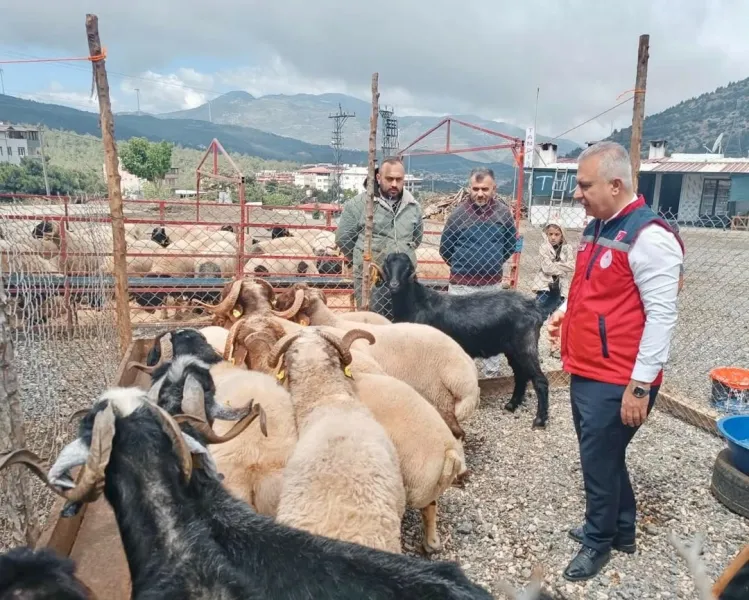 Tarım İl Müdürü’nden Kurbanlık Çıkarması