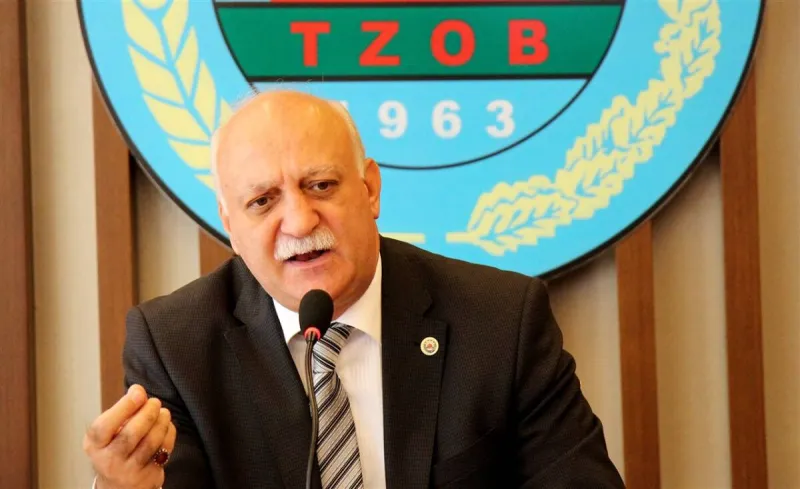 Türkiye’de Orman Yangınlarının %88’i İnsan Kaynaklı