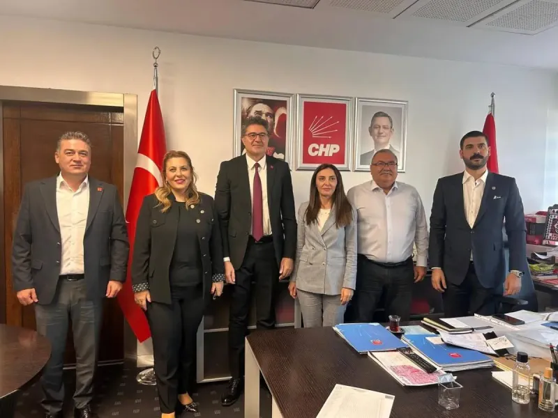 Vekil Mullaoğlu, AB Görevinde