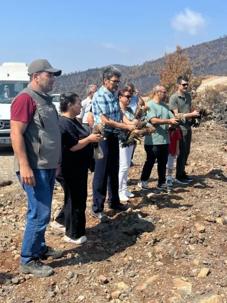 Yaban Hayvanları İçin Doğaya Dönüş Etkinliği