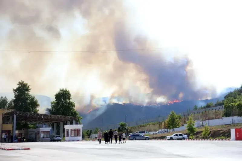 Yanan Ormanlar, Tehdit Altındaki Halk: Hatay’da Kriz Devam Ediyor