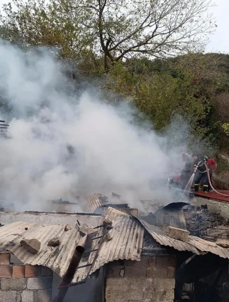 Yayladağı'nda Korkutan Yangın! Alevler Nasıl Durduruldu?