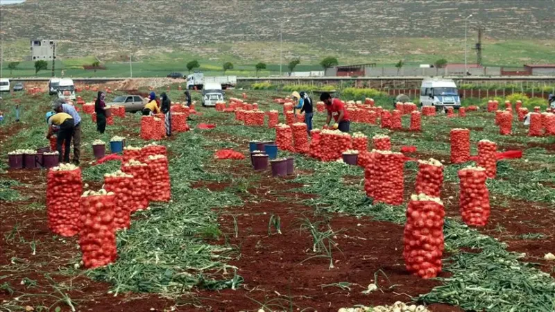 Yeni dönemde su sorunu olan bölgelere destek verilmeyecek